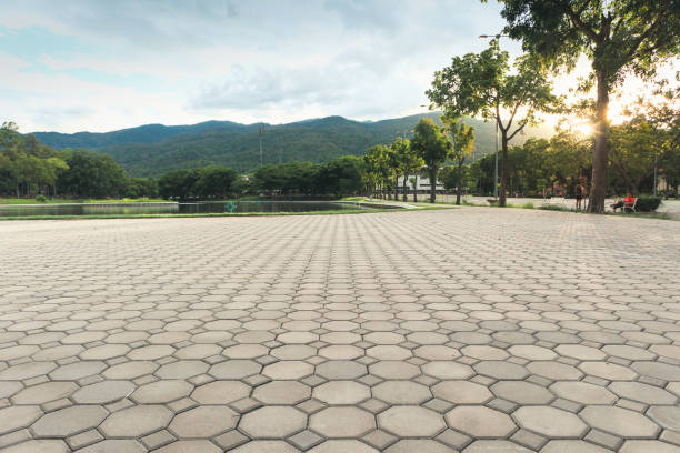 Best Driveway Pavers Near Me  in Las Palmas Ii, TX