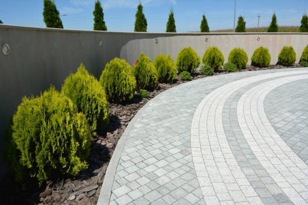 Best Affordable Driveway Pavers  in Las Palmas Ii, TX