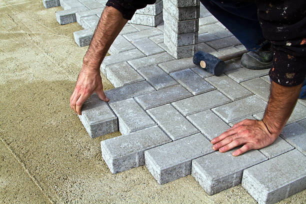 Best Professional Driveway Pavers  in Las Palmas Ii, TX